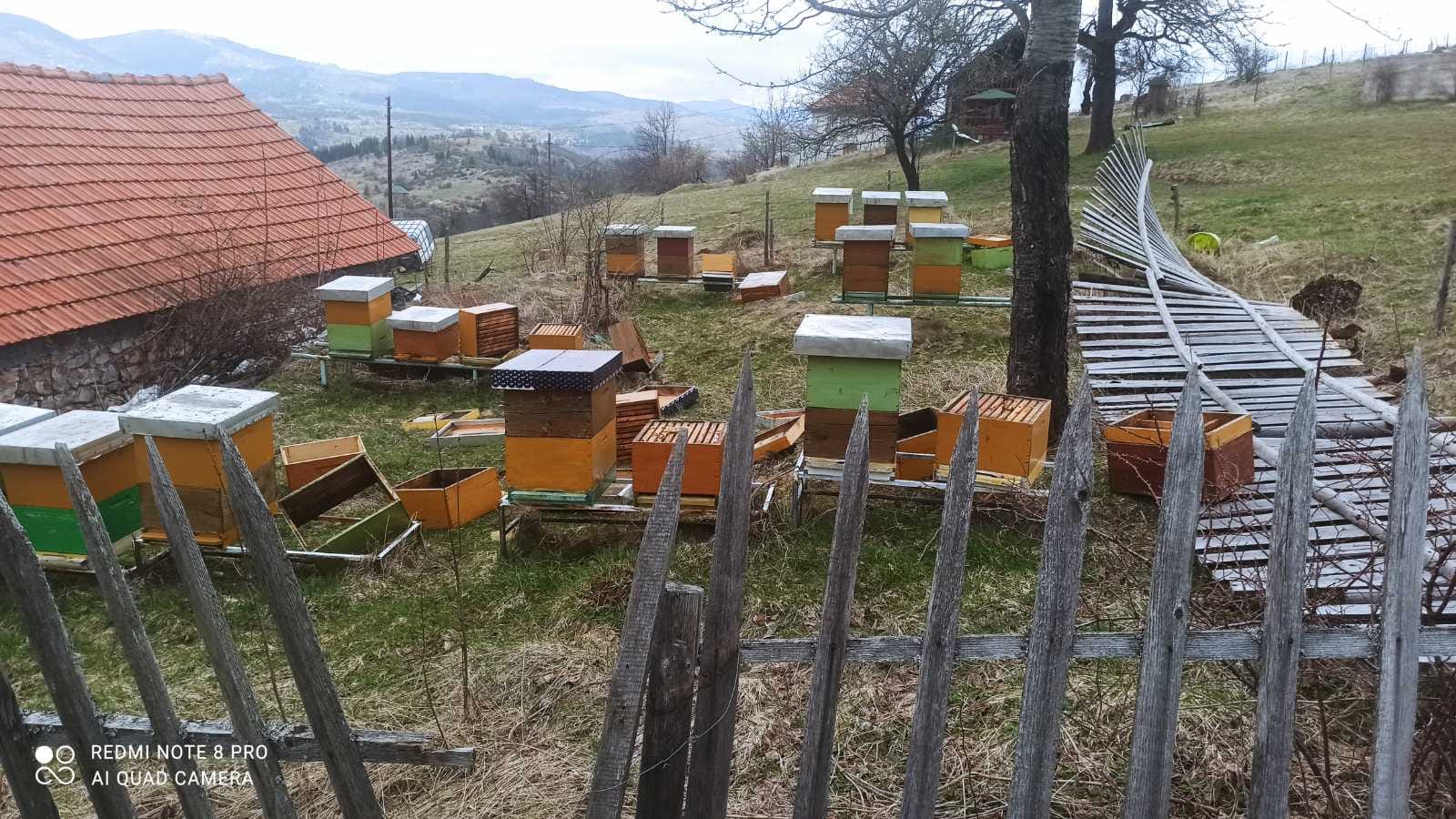 Medvjed uništio pčelinjak u rožajskom selu Njeguš