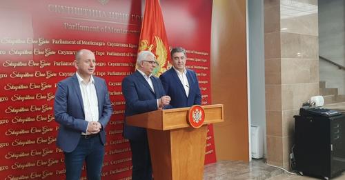Mandić: Konstituenti DF-a idu različitim putevima; Medojević i Knežević: Nema svađe