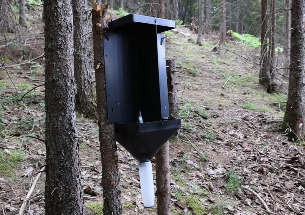 Uprava za gazdovanje šumama pozvala inspekciju da provjeri navode o isteklim feromonskim klopkama