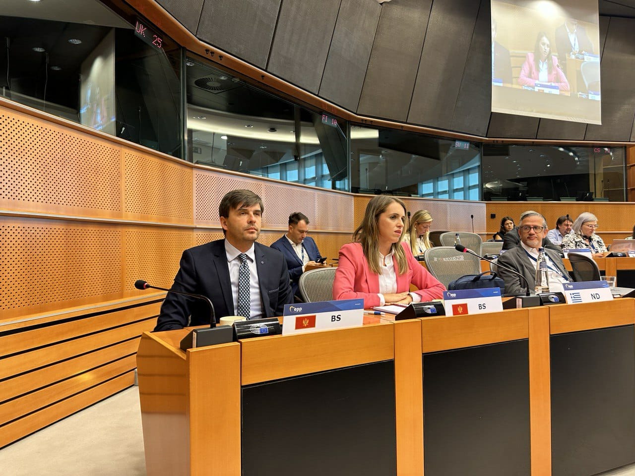 Delegacija BS u Briselu: Puna podrška Crnoj Gori da što prije izabere proevropsku vladu i nastavi pregovore sa EU