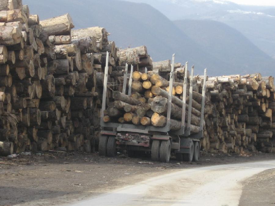 “Vlada da pomogne, mnogi neće moći da kupe drva”