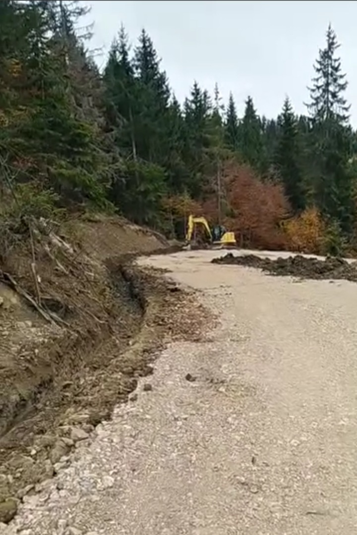 Put sloge i zajedništva