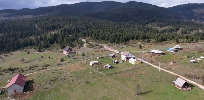 Biševci muku muče sa medvjedima
