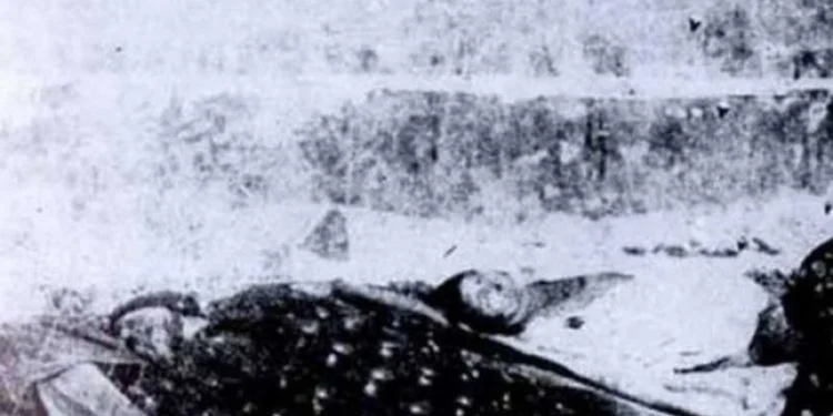 99. godina od nekažnjenog genocida nad Bošnjacima Šahovića