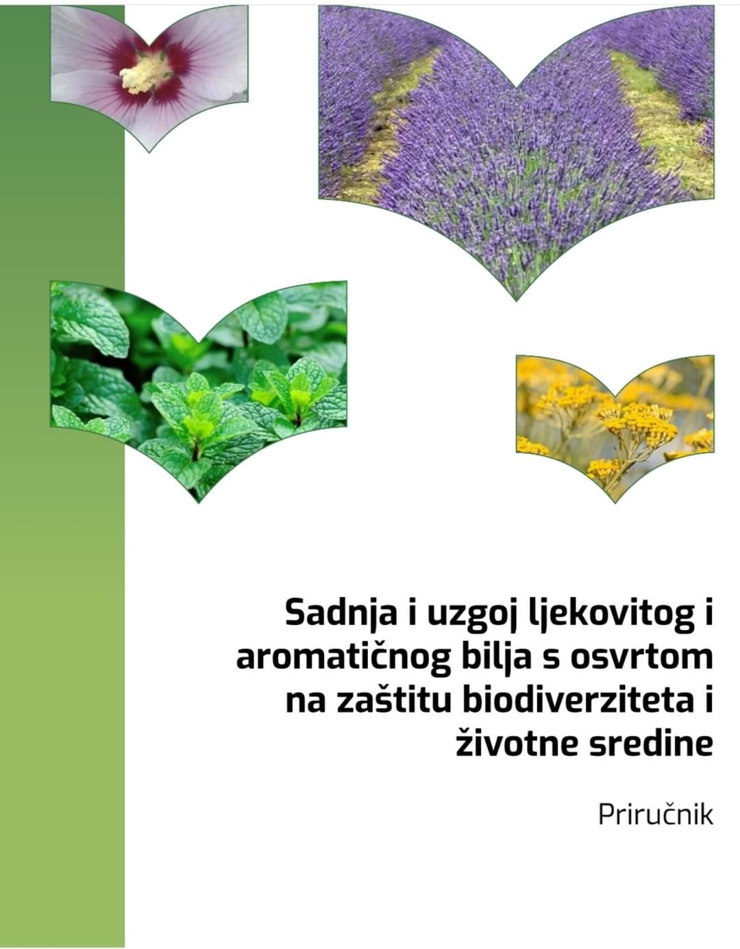 Priručnik u oblasti sadnje i uzgoja ljekovitog i aromatičnog bilja