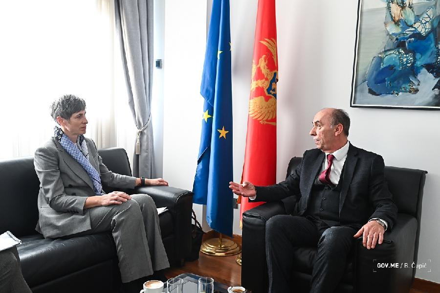Pavićević-Poniklova: Digitalizacijom i socijalnom inluzijom pomoći najranjivijoj populaciji