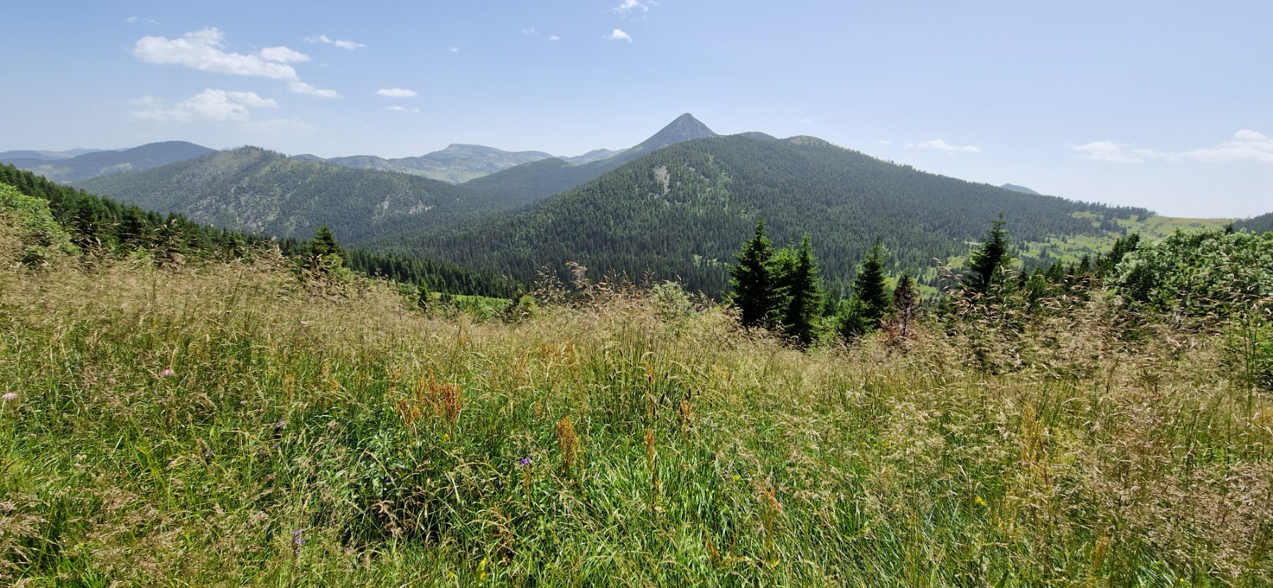 Zakazana vanredna sjednica Skupštine Lovačkog društva “Hajla”