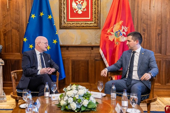 Bečić-Mičel: Ojačati pravni okvir za suzbijanje torture i zlostavljanja
