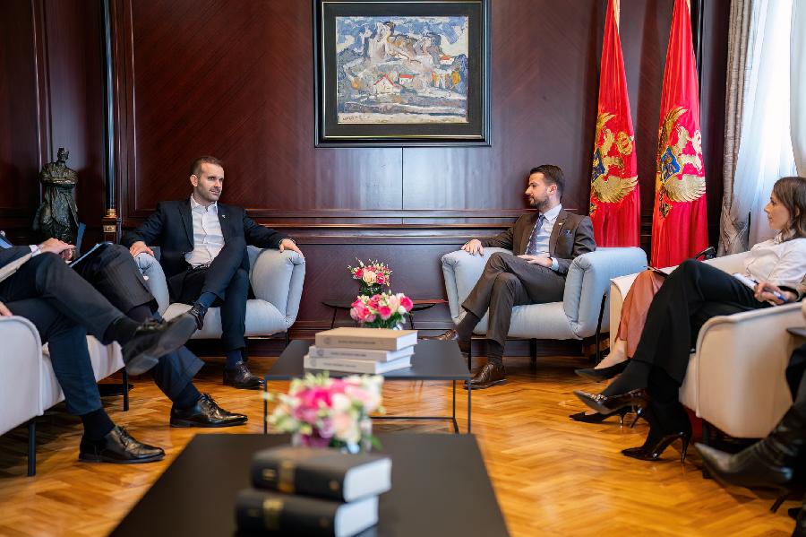 Milatović-Spajić: Izbor ambasadora mora biti kvalitetan i profesionalan