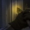 lopovvv 600x900 Radio televizija Rožaje