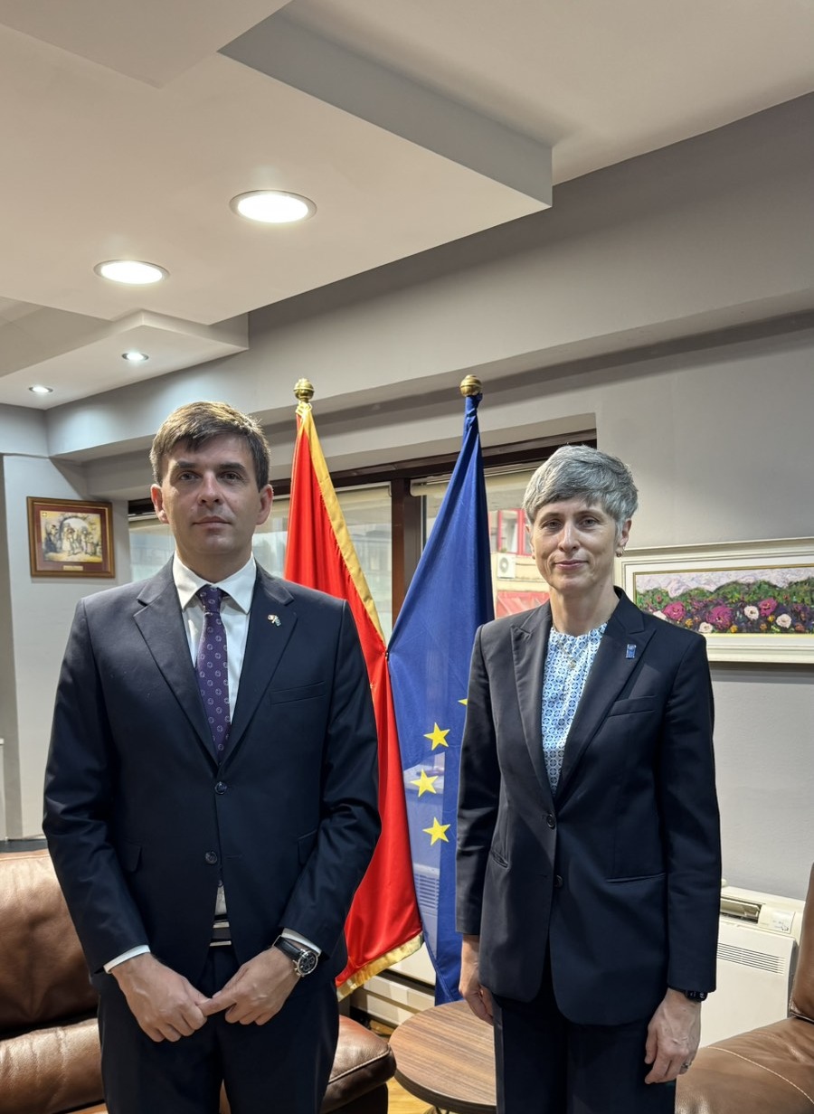 Sastanak Azemovića sa stalnom predstavnicom UNDP-a u Crnoj Gori Ekaterinom Paniklovom