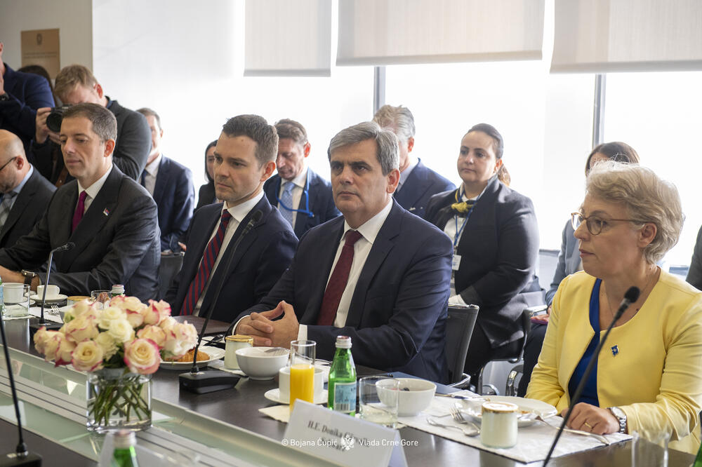 Ibrahimović: Ambicija Crne Gore da doprinosi bezbjednosti i otpornosti EU