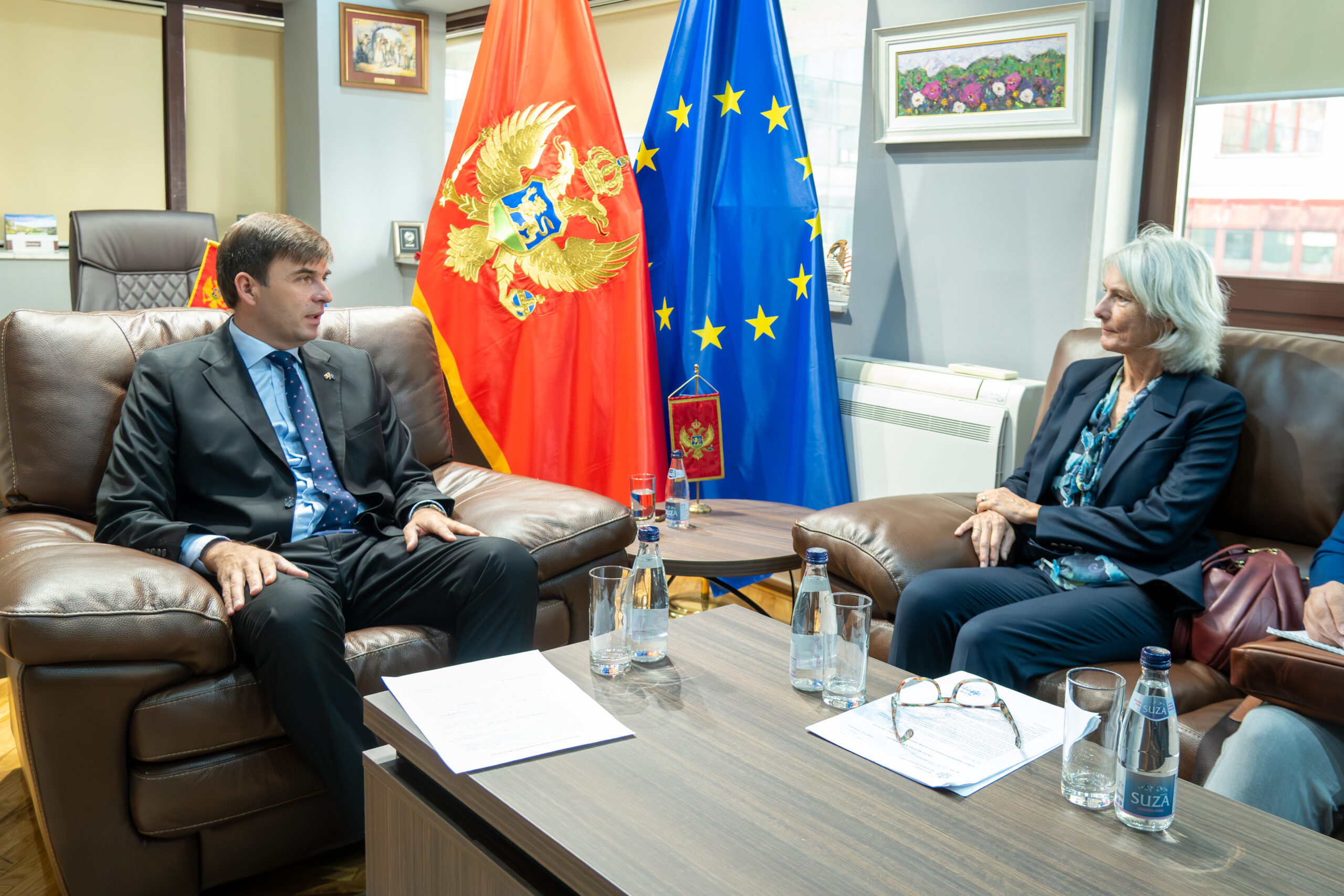 Azemović sa koordinatorkom UN-a: Ministarstvo dijaspore širi mrežu projekata za iseljenike