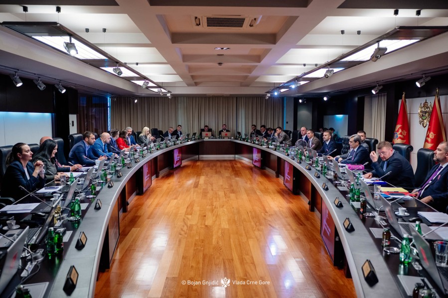 Vlada: Snežana Jonica nova generalna konzulka u Njujorku, Cikotić u Frankfurtu