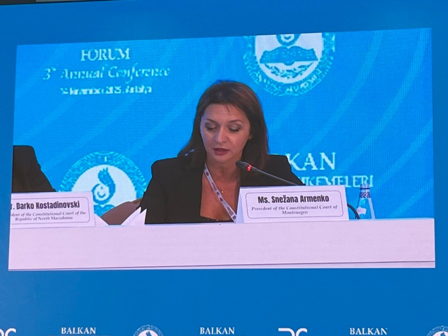 Armenko: Zaštita ljudskih prava se ne može zamisliti bez Ustavnog suda