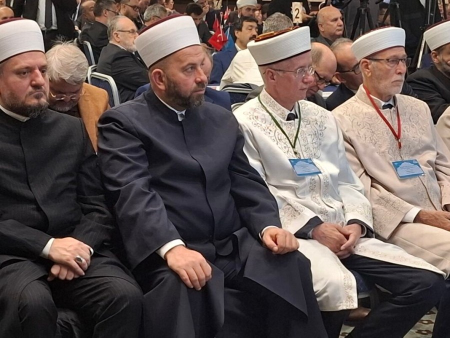 Fejzić iz Edirnea: Osjetio sam stid zbog pitanja o dešavanjima u Crnoj Gori