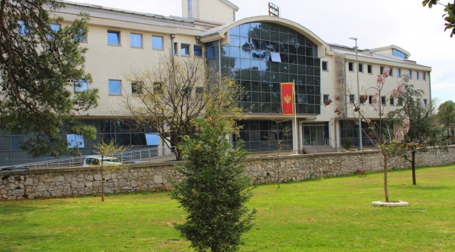 MPNI: Još 13 krivičnih prijava zbog lažnih diploma