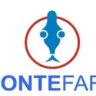 17670072703fyuprp6icadcih8 i 1467x978 Radio televizija Rožaje