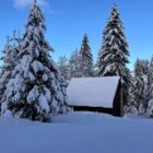 Počinje zima, 21. decembar najkraći dan u godini 18 480335122 942016834584481 7833944227063283678 n Radio televizija Rožaje