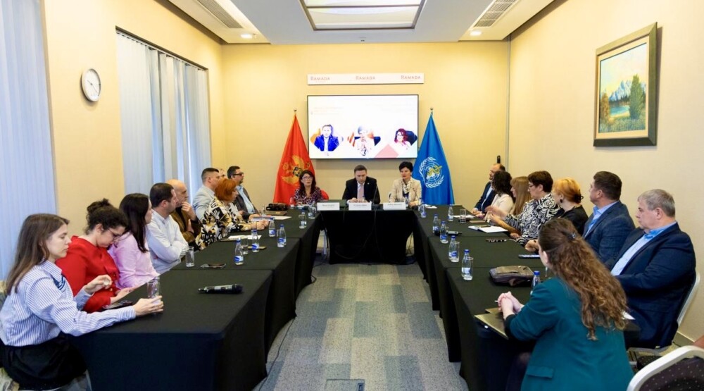 Ministarstvo zdravlja će pristupiti usvajanju Akcionog plana za jednakost u zdravstvu