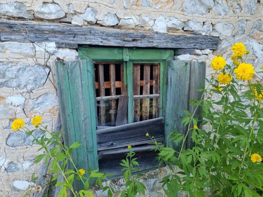 FB IMG 1766313401807 1 Radio televizija Rožaje