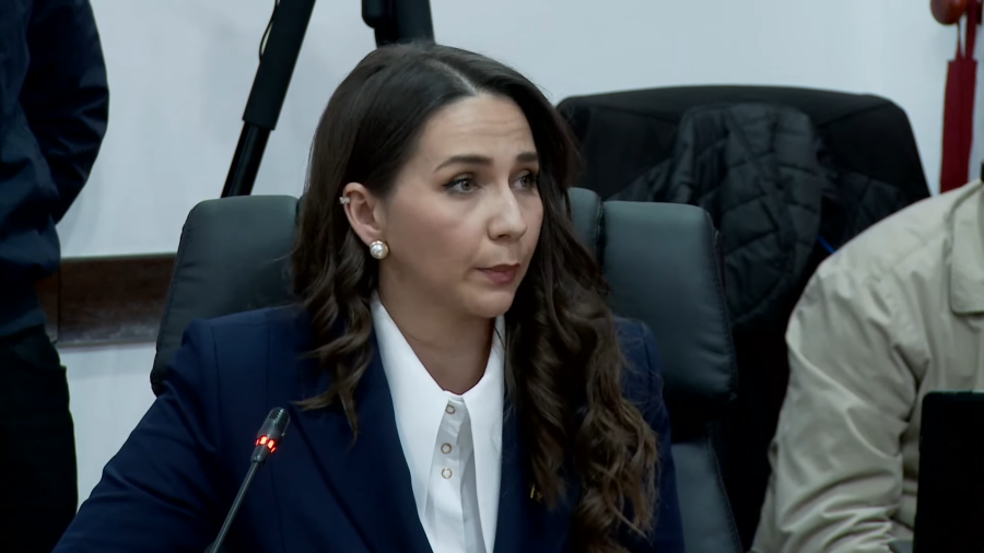 Adžović: Za potvrđivanje sporazuma sa UAE nije bila potrebna dvotrećinska većina