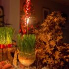 1767680934tnsdmsxrmq264qhr i 1467x978 Radio televizija Rožaje