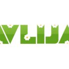 IMG 8848 Radio televizija Rožaje