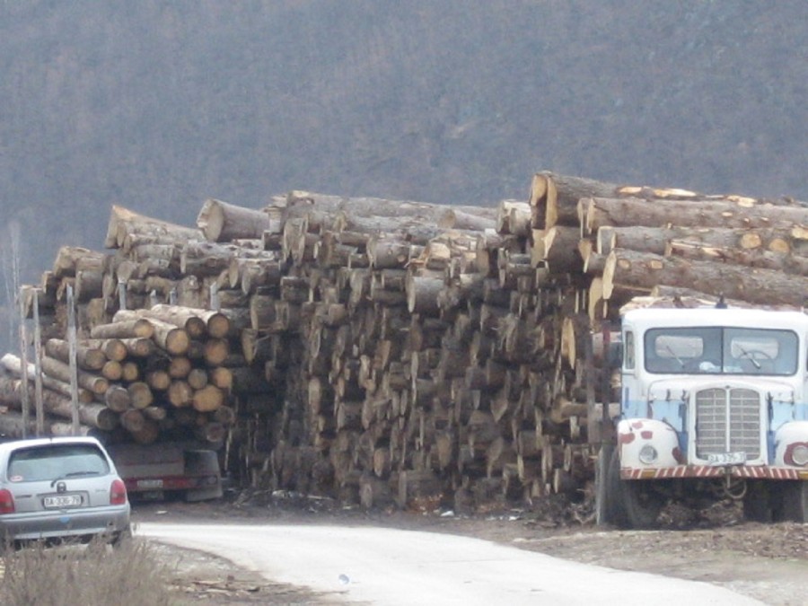 Stiglo preko 10.000 zahtjeva radnika drvoprerade, isplata u ratama