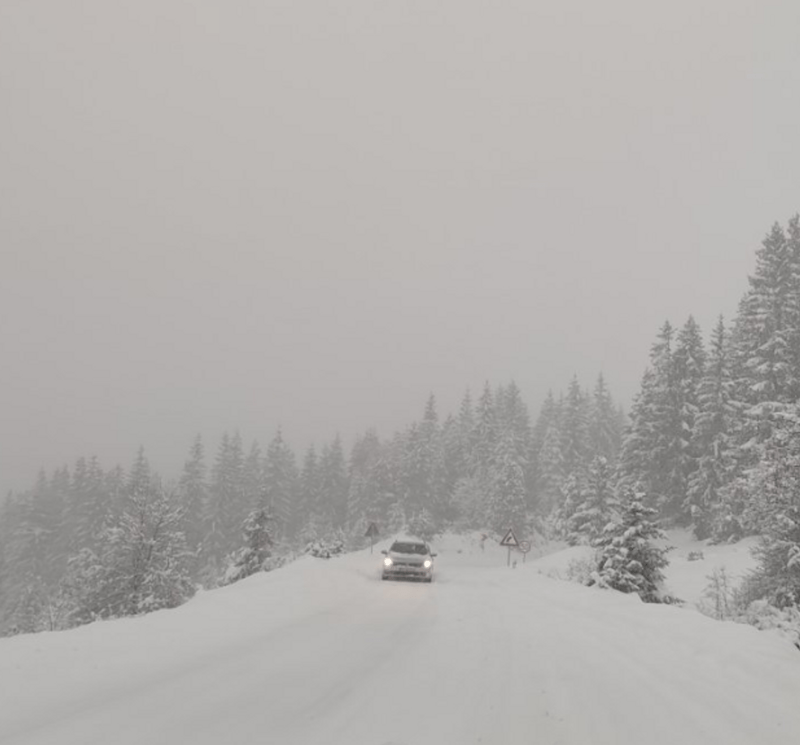 1768053647xrgjz2nqexkxqyrx i 1118x745 Radio televizija Rožaje