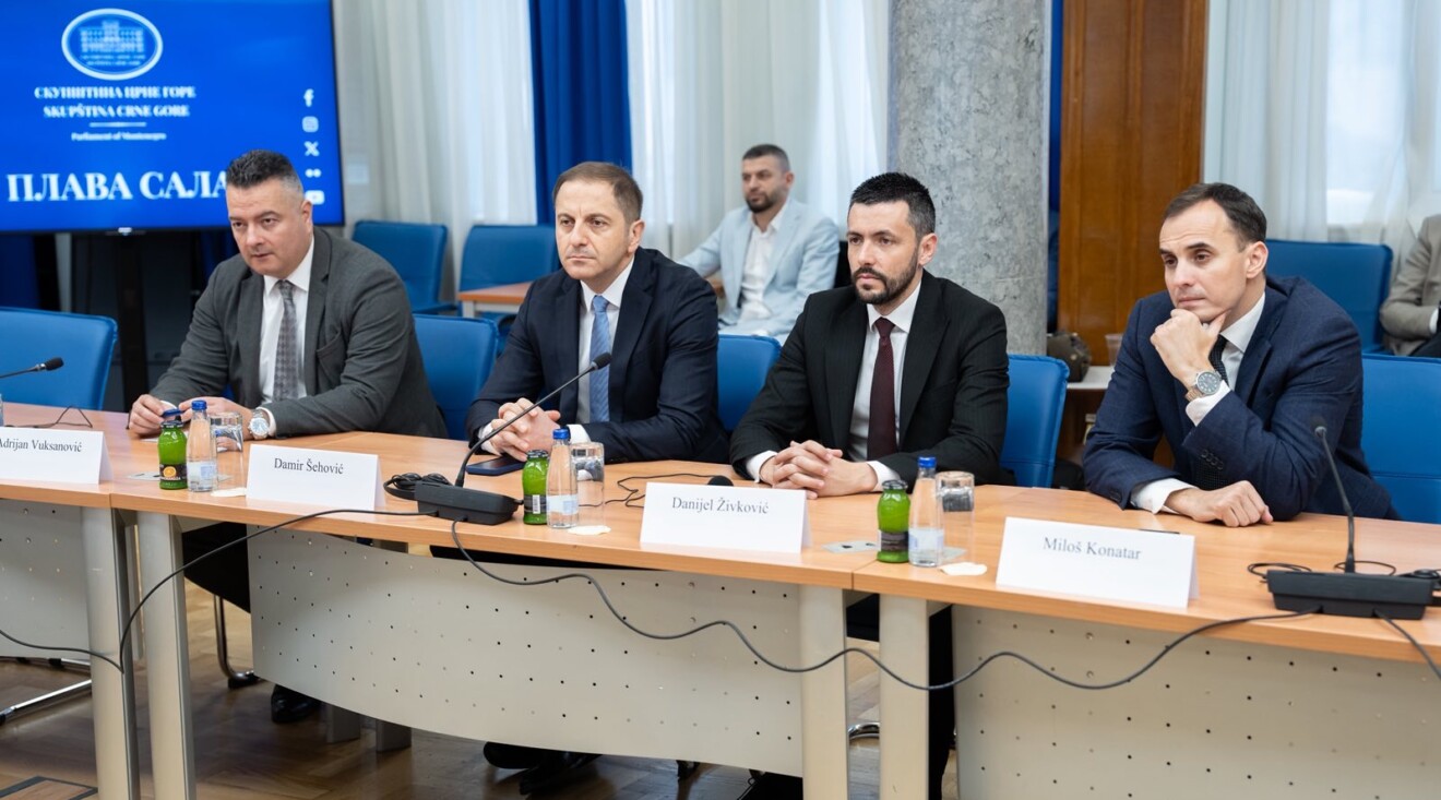 Šehović na sastanku sa EU parlamentarcima: Evropa ne smije zatvarati oči pred vrijednosnim sunovratom u Crnoj Gori