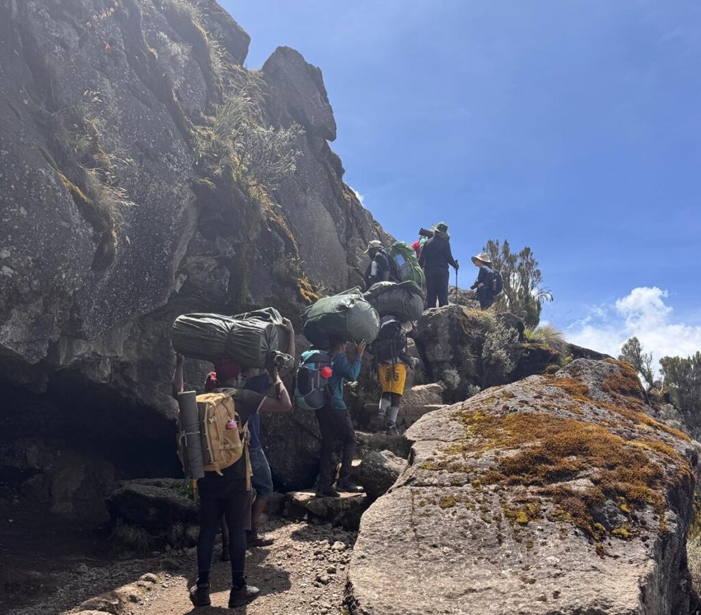 PHOTO 2026 02 10 16 58 17 1 Radio televizija Rožaje