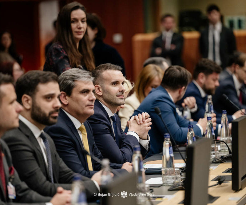 5713577 55153350643 81c4d465e5 o ls Radio televizija Rožaje