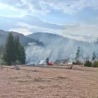 Apel Službe zaštite i spašavanja Rožaje: Nesavjesnim paljenjem rastinja izaziva se opšta opasnost 17 651026108 1227160432736785 1838071195363441076 n Radio televizija Rožaje