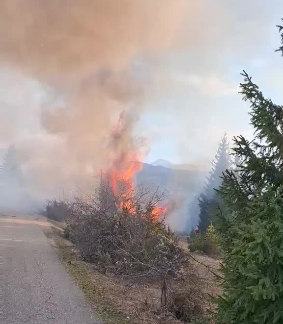 Apel Službe zaštite i spašavanja Rožaje: Nesavjesnim paljenjem rastinja izaziva se opšta opasnost 1 651324774 1227160552736773 2815455241924353535 n 2 Radio televizija Rožaje