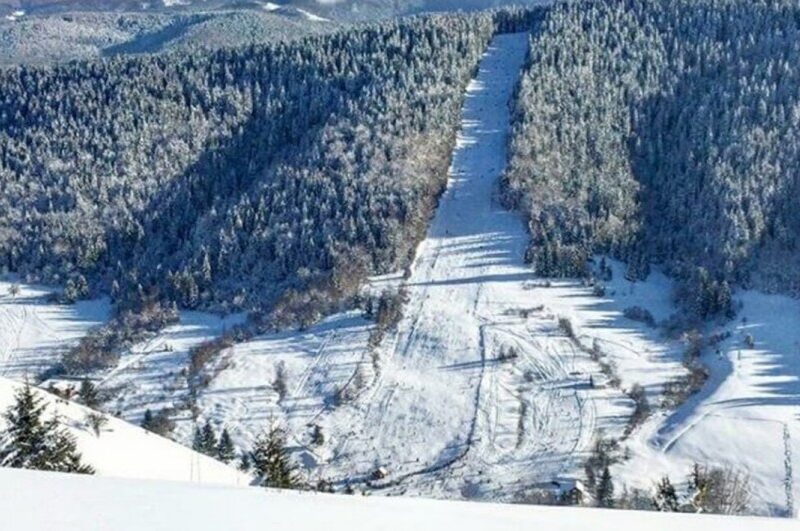 halja 531x900 531x900 Radio televizija Rožaje