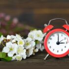 spring forward daylight saving time Radio televizija Rožaje