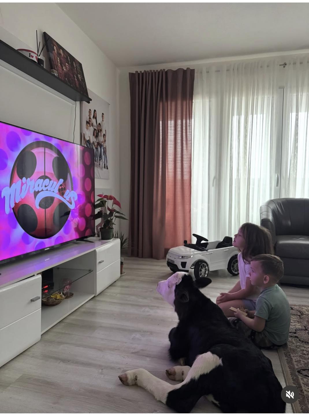 Tele postalo ljubimac devetočlane porodice Garović iz Bašče