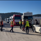 ffffff 505x900 505x900 Radio televizija Rožaje