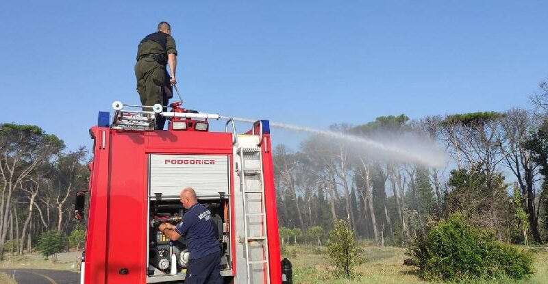 pozar 415x900 415x900 Radio televizija Rožaje