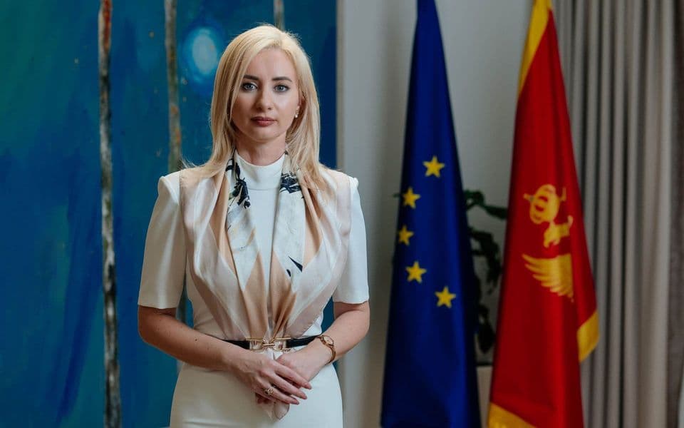 Gorčević: Dinamika zatvaranja poglavlja ide po planu, do kraja godine završavamo pristupne pregovore