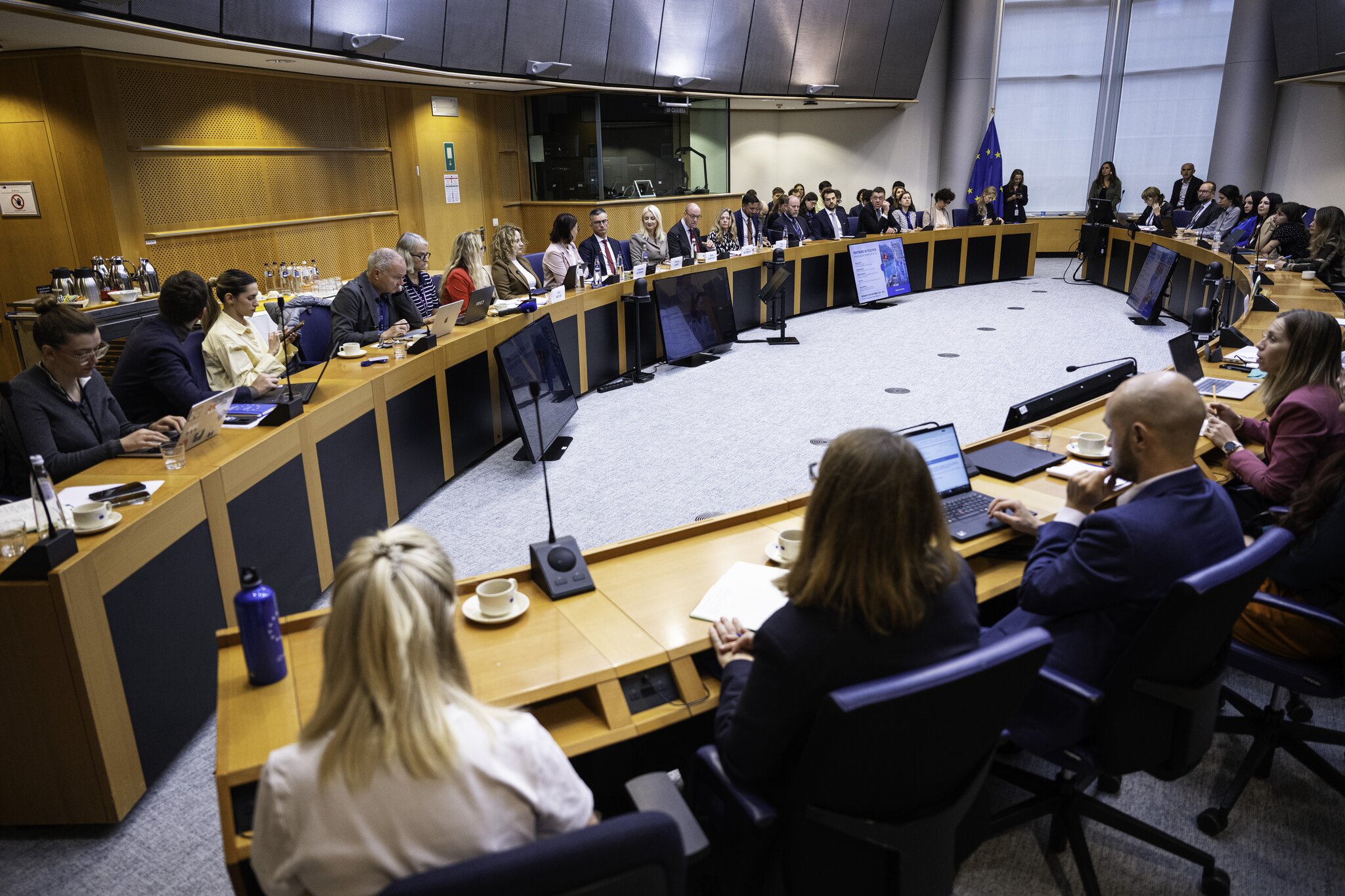 Gorčević u EP: Pristupanje Crne Gore može biti i evropski uspjeh